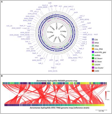 Mechanisms of low susceptibility to the disinfectant benzalkonium chloride in a multidrug-resistant environmental isolate of Aeromonas hydrophila